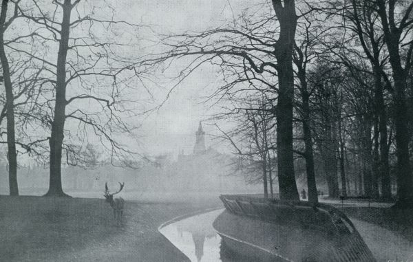 Zuid-Holland, 1931, Den Haag, Het Haagsche Bosch. De Hertenkamp