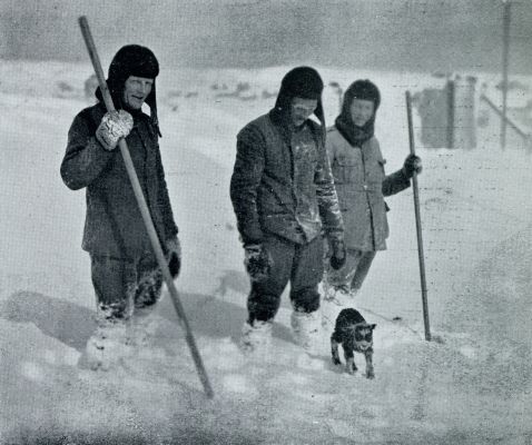 Denemarken, 1931, Onbekend, De Faeroer. Herders hebben een lammetje uit de sneeuw uitgegraven en voor bevriezen behoed