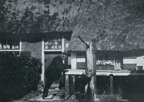 Noord-Holland, 1931, Laren, Laren (N.-H.) kippenvoeren. Foto bekroond in den fotowedstrijd