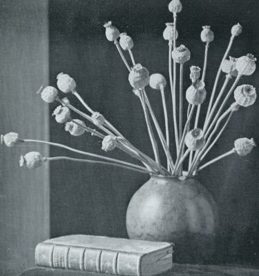 Onbekend, 1931, Onbekend, Gedroogde bloemen. Slaapbollen