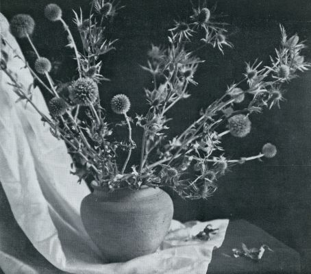 Onbekend, 1931, Onbekend, Gedroogde bloemen. Distels