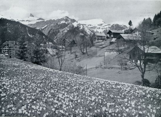 Zwitserland, 1931, Wengen, Als de sneeuw smelt. Lente bij Wengen