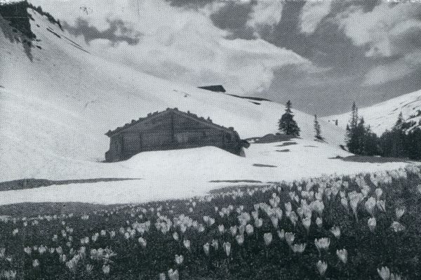 Onbekend, 1931, Onbekend, Als de sneeuw smelt.