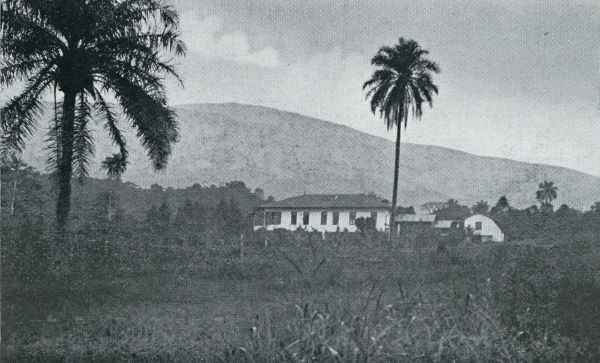 Kameroen, 1931, Bua, Een reis door Kameroen. De 4000 M. hooge Kameroenberg en het Gouverneurshuis te Buea