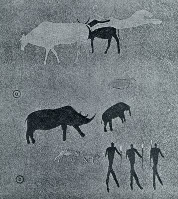 Onbekend, 1931, Onbekend, Boschjesman schilderingen. A. Uit Zuurfontein (runderen, leeuw), B. Uit Zandfontein (neushoorn, olifant, jakhalzen, kaffers). Naar Helene Tongue, Bushman Paintings
