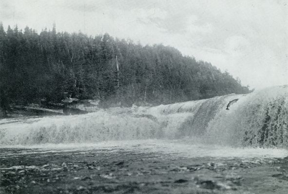 Canada, 1931, Onbekend, New Foundland. Een tegen de Big Falls opspringende zalm