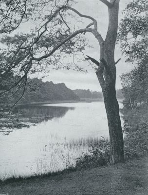 Noord-Brabant, 1931, Oisterwijk, Het van Esschen-ven bij Oisterwijk