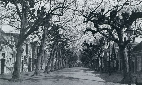 Zuid-Holland, 1931, Voorschoten, Voorschoten. Dorpstraat met geschoren linden