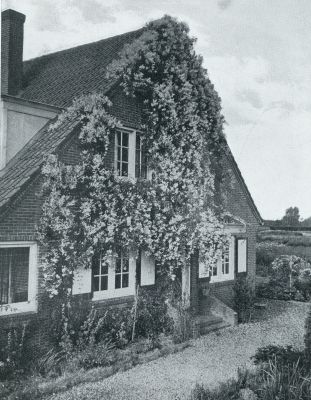 Onbekend, 1931, Onbekend, Huis en Tuin. Begroeiing van den gevel van het huis