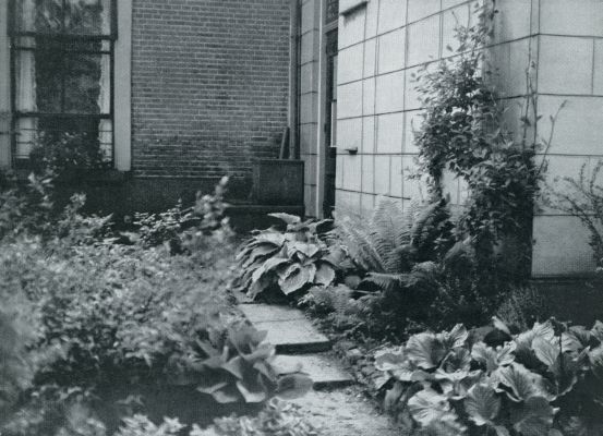 Onbekend, 1931, Onbekend, Huis en Tuin. Beplanting aan de noordzijde van het huis
