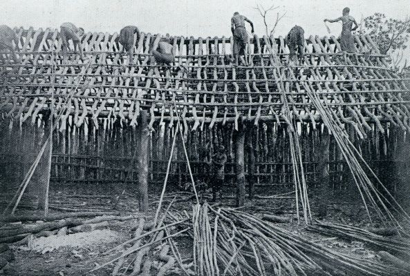 Bij de bronnen van den Nijl. Huttenbouw in zuidelijk Oeganda