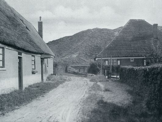 Bergen. Aan den voet der duinen te Schoorl