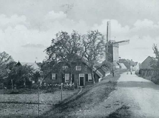 Gelderland, 1932, Hedel, HEDEL. DE MOLEN OP DEN DIJK DATEERT UIT OMSTREEKS 1600
