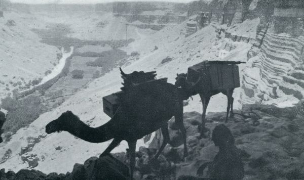 Jemen, 1932, Onbekend, HADRAMAUT. MOEILIJKE AFDALING LANGS DEN STEILEN ROTSWAND NAAR WADI DOAN