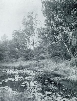 Noord-Brabant, 1932, Oisterwijk, HET WITVEN