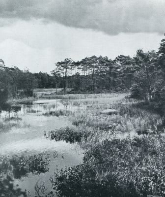 Noord-Brabant, 1932, Oisterwijk, OISTERWIJK, HET VAN ESSCHENVEN