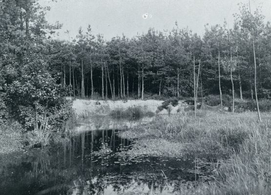 Noord-Brabant, 1932, Oisterwijk, OISTERWIJK. DE ACHTERSTE STROOM