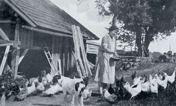 Onbekend, 1932, Onbekend, OP POSCHENHOF