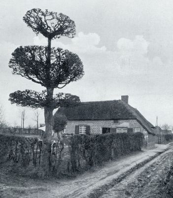 Limburg, 1932, Venray, LIMBURGSCHE BOERDERIJEN. BRABANTSCH HUIS TE VELTHUM BIJ VENRAY