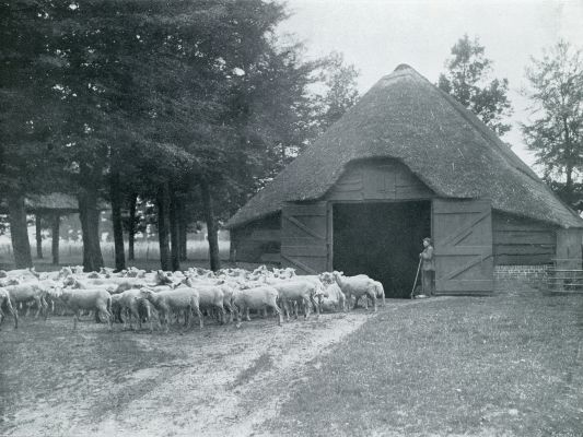 Gelderland, 1932, Onbekend, DE VELUWE IN VOGELVLUCHT. 'S MORGENS VOOR DEN SCHAPENSTAL