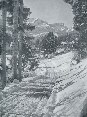 Duitsland, 1933, Garmisch-Partenkirchen, BOSCHWEG BIJ PARTENKIRCHEN