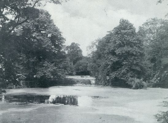 Zeeland, 1933, Schuddebeurs, VIJVER OP HUIZE MEERZICHT TE SCHUDDEBEURS