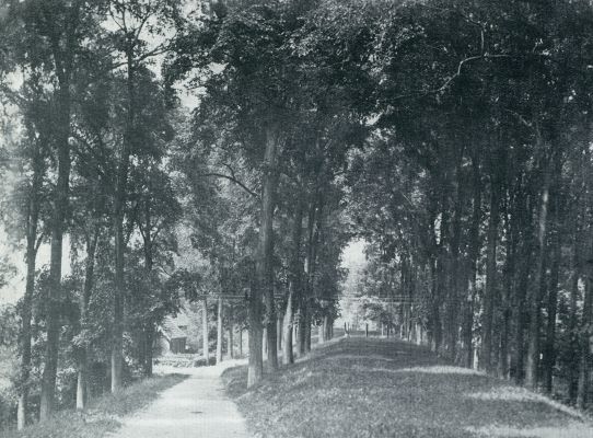 Zeeland, 1933, Schuddebeurs, WEG ACHTER DE BUITENPLAATSEN TE SCHUDDEBEURS