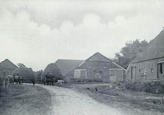 DE ACHTERKANT VAN DE WESTERWOLDSCHE BOERDERIJEN? NEEN, DE VOORKANT! WANT DE ACHTERKANT IS DE VOORKANT. DE BOERDERIJEN STAAN NAMELIJK GEMAKSHALVE MET DE SCHUURDEUREN AAN DEN WEG