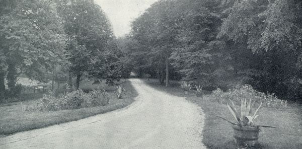 DE OPRIJLAAN VAN OCKENBURG