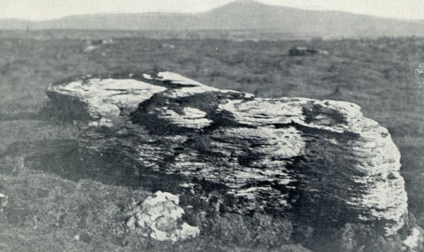 Onbekend, 1933, Onbekend, EEN BROK LIMESTONE MET DIEPE GROEVEN (2500 VOET HOOGTE)