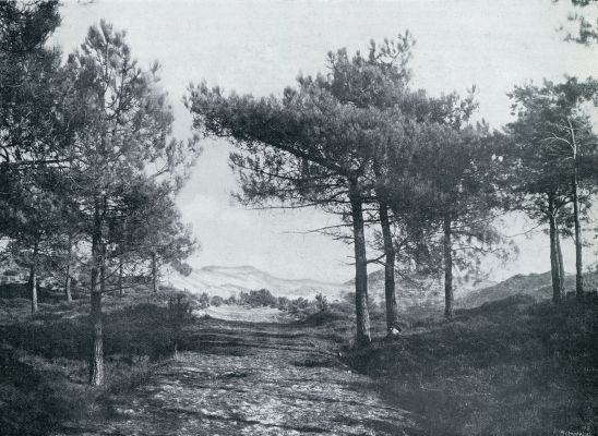 Onbekend, 1933, Onbekend, AAN DEN RAND DER HEIDE