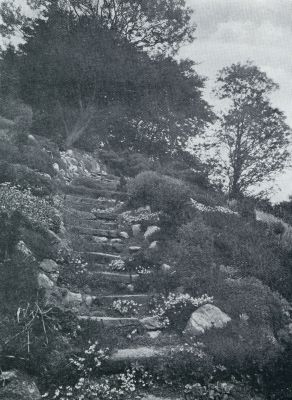 Onbekend, 1933, Onbekend, NATUURSTEENEN TRAP MET ROTSPLANTEN-BEGROEIING