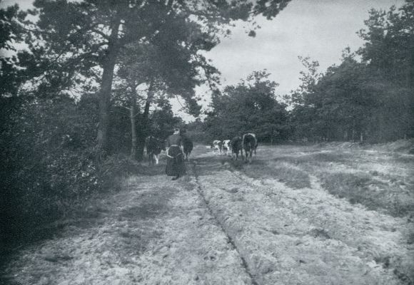 Onbekend, 1933, Onbekend, NAAR HUIS