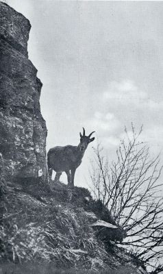 Zwitserland, 1933, Onbekend, DE ONTMOETING MET DEN FOTOGRAAF