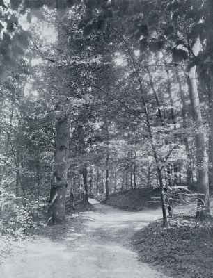 Gelderland, 1933, Voorst, IN HET PARK VAN HUIZE DE POLL BIJ VOORST OP DE VELUWE