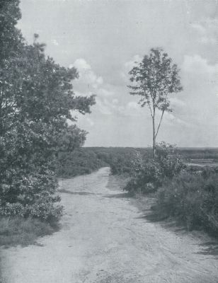 Onbekend, 1933, Onbekend, HET WEGGETJE AAN DEN HEUVELRAND