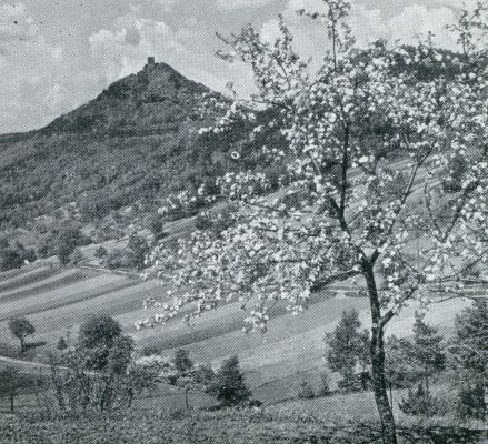 DE BURCHT TRIFELS BIJ ANNWEILER