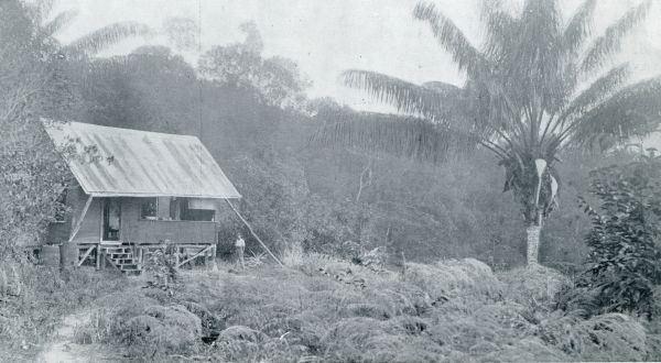 Guyana, 1933, Onbekend, OP WEG NAAR DEN KAIETEUR-WATERVAL. EEN TAMELIJK PRIMITIEVE SCHUILPLAATS IN HET OERWOUD BIJ AMATUK