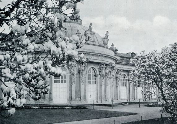 Duitsland, 1933, Potsdam, BLOEIENDE TULPENBOOMEN BIJ SANSSOUCI