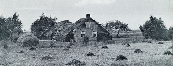 WONING OP DE DRENTSCHE HEIDE, VOOR HET GROOTSTE DEEL VAN HEIDEPLAGGEN GEBOUWD