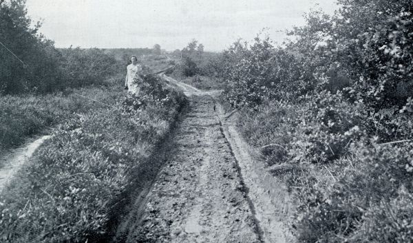 Drenthe, 1933, Eext, LANDWEG NAAR DE HEIDE BIJ EEXT