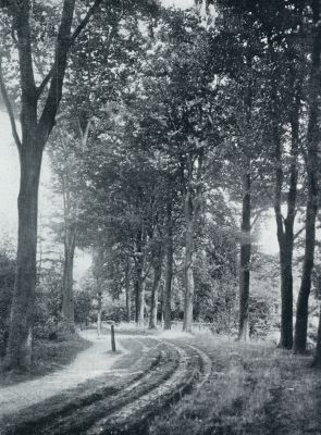 Gelderland, 1933, Breedenbroek, LANDLEG BIJ BREEDENBROEK (DINXPERLO)