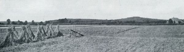 Gelderland, 1933, Barchem, GEZICHT VAN DE BARCHEMSCHE ENK OP DE BARCHEMSCHE HEUVELRIJ