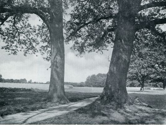 Gelderland, 1933, Ampsen, DE GOLVENDE VELDEN EN BOSSCHEN BIJ AMPSEN