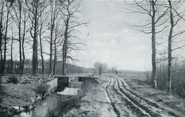 Gelderland, 1933, Onbekend, HERFST IN DE GELDERSCHE VALLEI