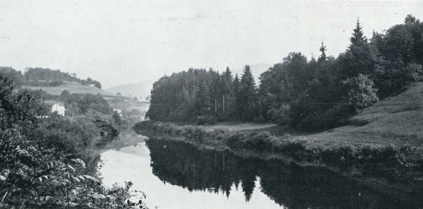 DICHTE SPARREBOSSCHEN, DE WOONPLAATSEN DER ROEKEN, WEERSPIEGELEN IN DE SAUER