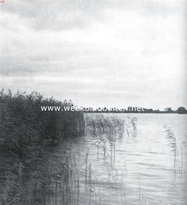 Over water- en veenland. Een rietkraag op de Reeuwijksche Plassen