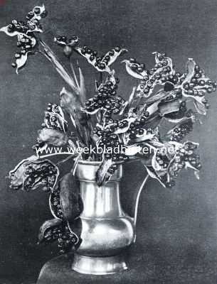 Onbekend, 1934, Onbekend, Zaden van Iris Foetidissima