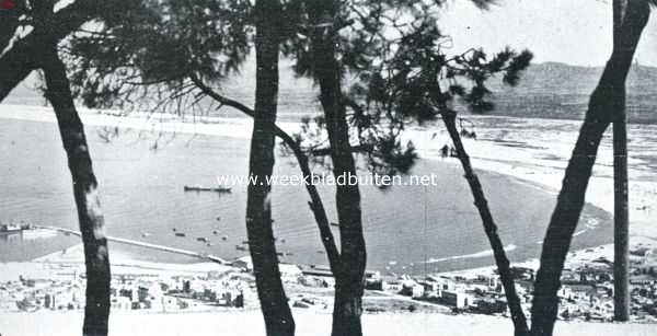 Isral, 1934, Onbekend, De stad aan den voet van Mont Carmel. Tusschen de cypressenstammen door ziet men in de diepte het zonnige strand van Hafa glinsteren
