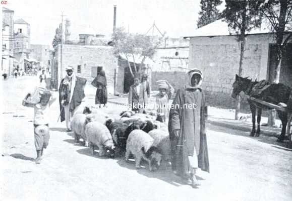 Isral, 1934, Onbekend, De stad aan den voet van Mont Carmel. Een bedoenenherder met schapen op weg naar de markt